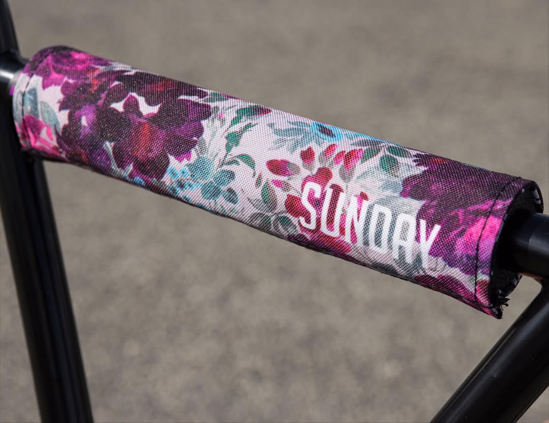 SourceBMX tweet media