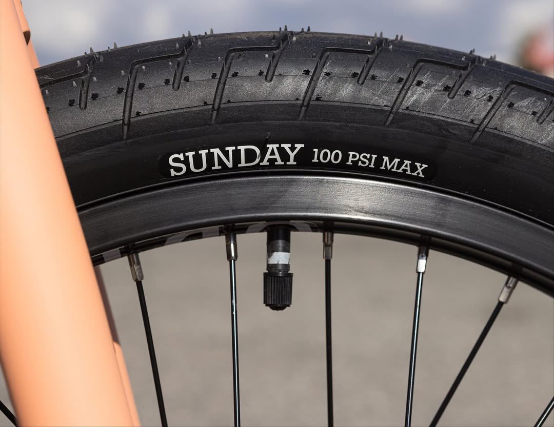 SourceBMX tweet media