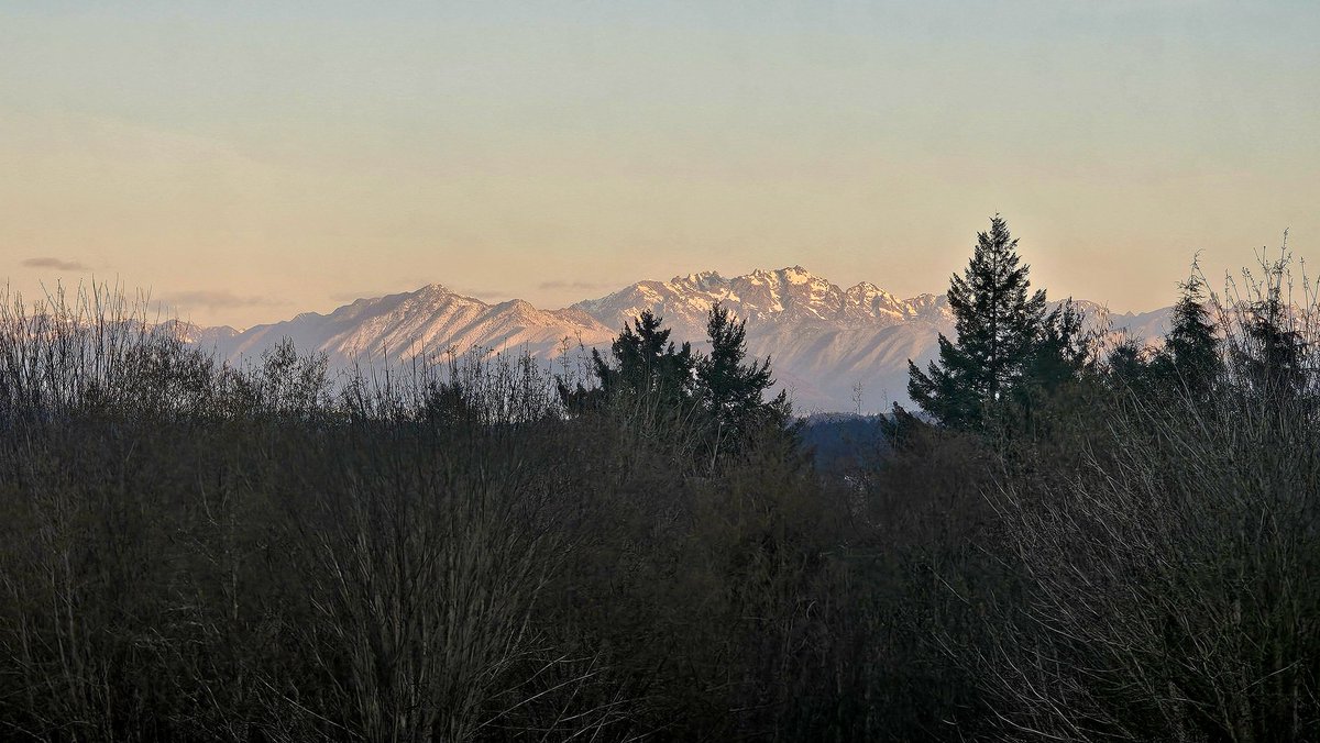 wenatchee726's tweet photo. @RealRodLacroix p https://t.co/siULGzw44R