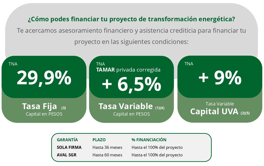 Ariel Mesch tweet media