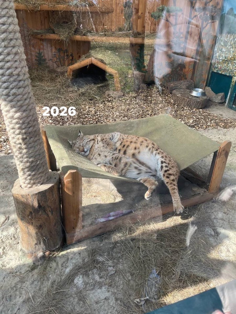 Регіоналіті tweet media