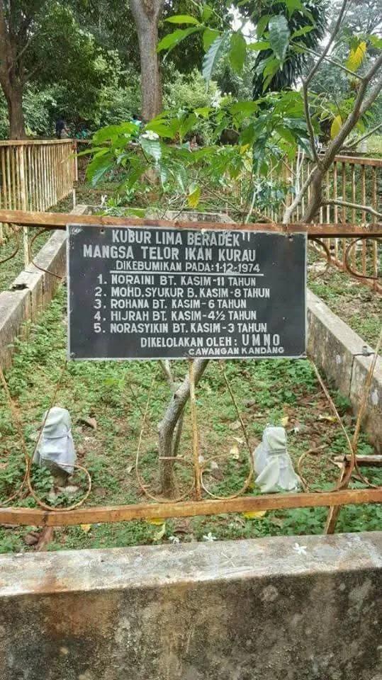 MYNEWSHUB tweet media