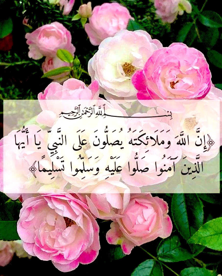 ابــو ؏ــبــد الرحــمــن tweet media