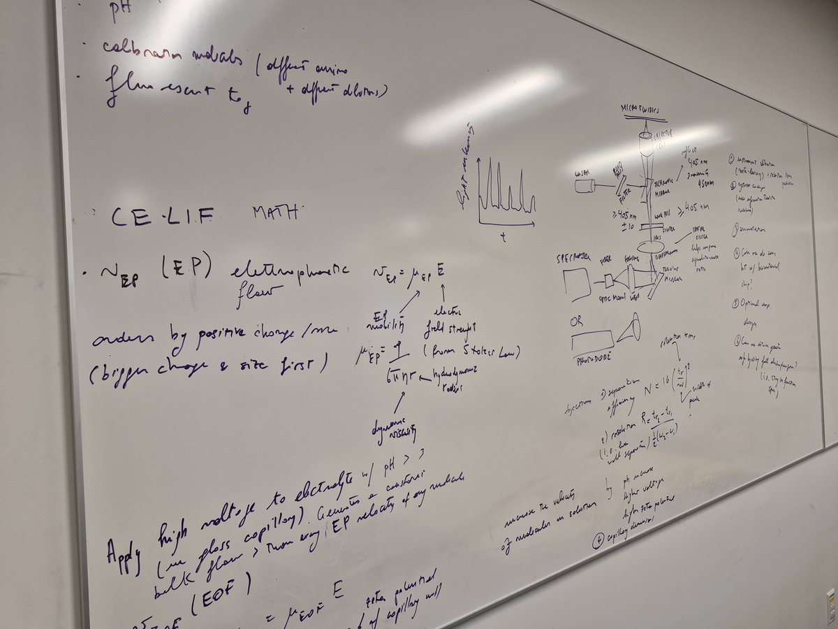 GTCSE's tweet photo. CSE halls may be more quiet while students are away for spring break, but their brilliance still rings loudly in their absence. 🔔🔊
Hope everyone is having a safe, fun, and relaxing break! Look forward to your return and crossing the finish line this semester! 🏁
#GTComputing https://t.co/C0HOXfIzTq
