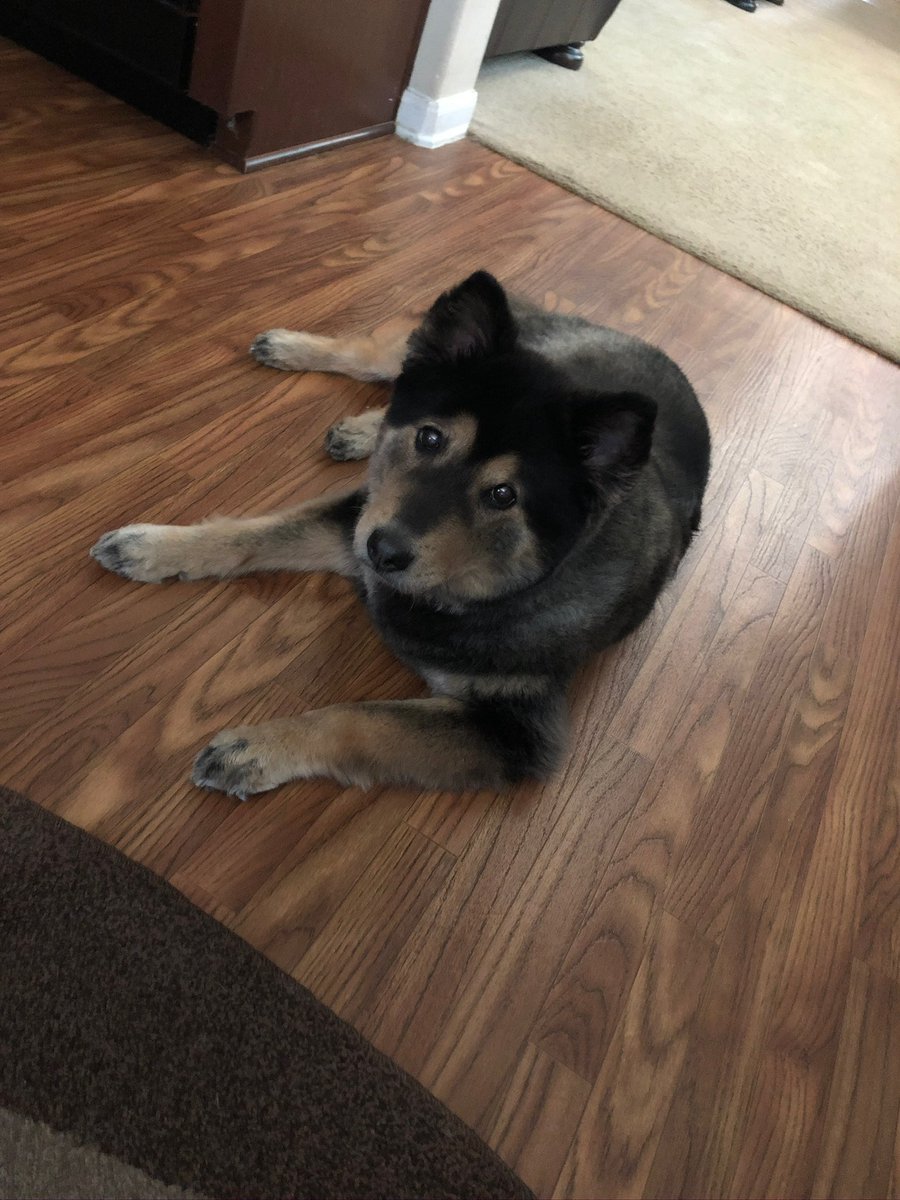 Marblknite tweet media