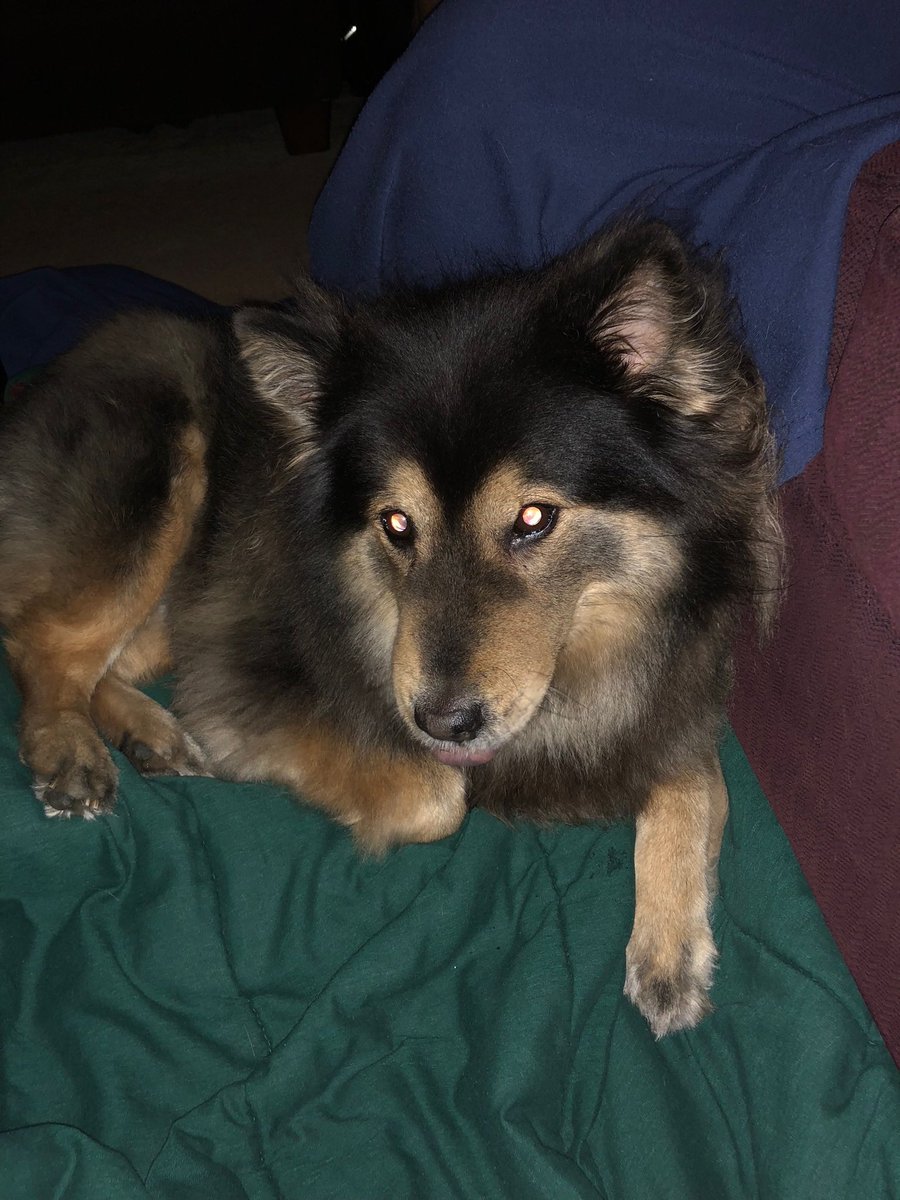 Marblknite tweet media