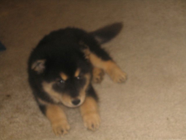 Marblknite tweet media