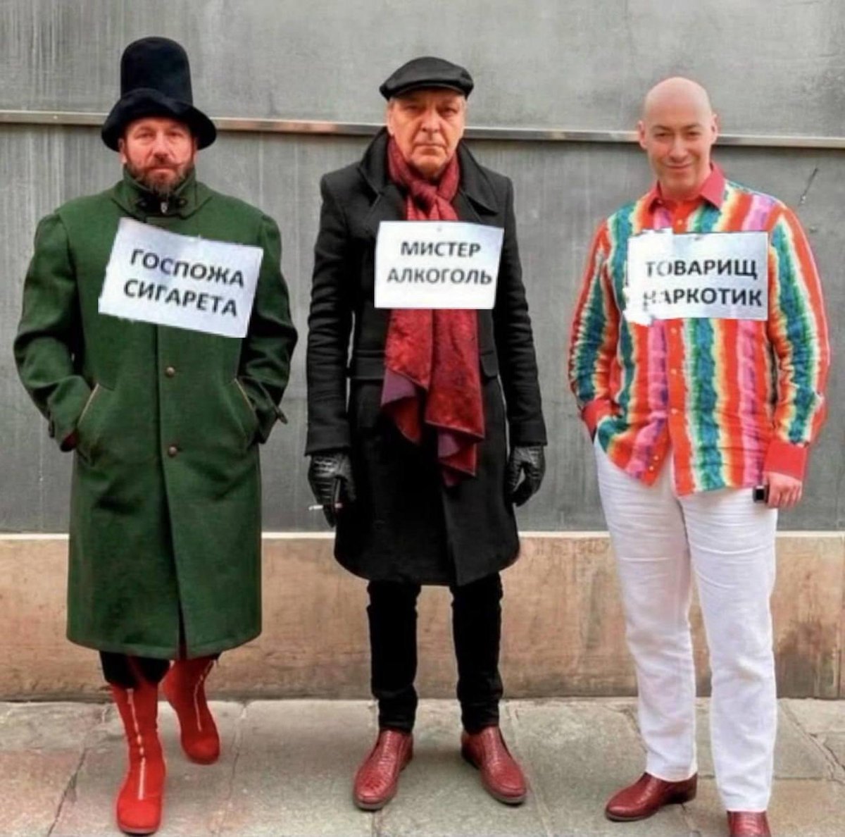 Шиза&База tweet media