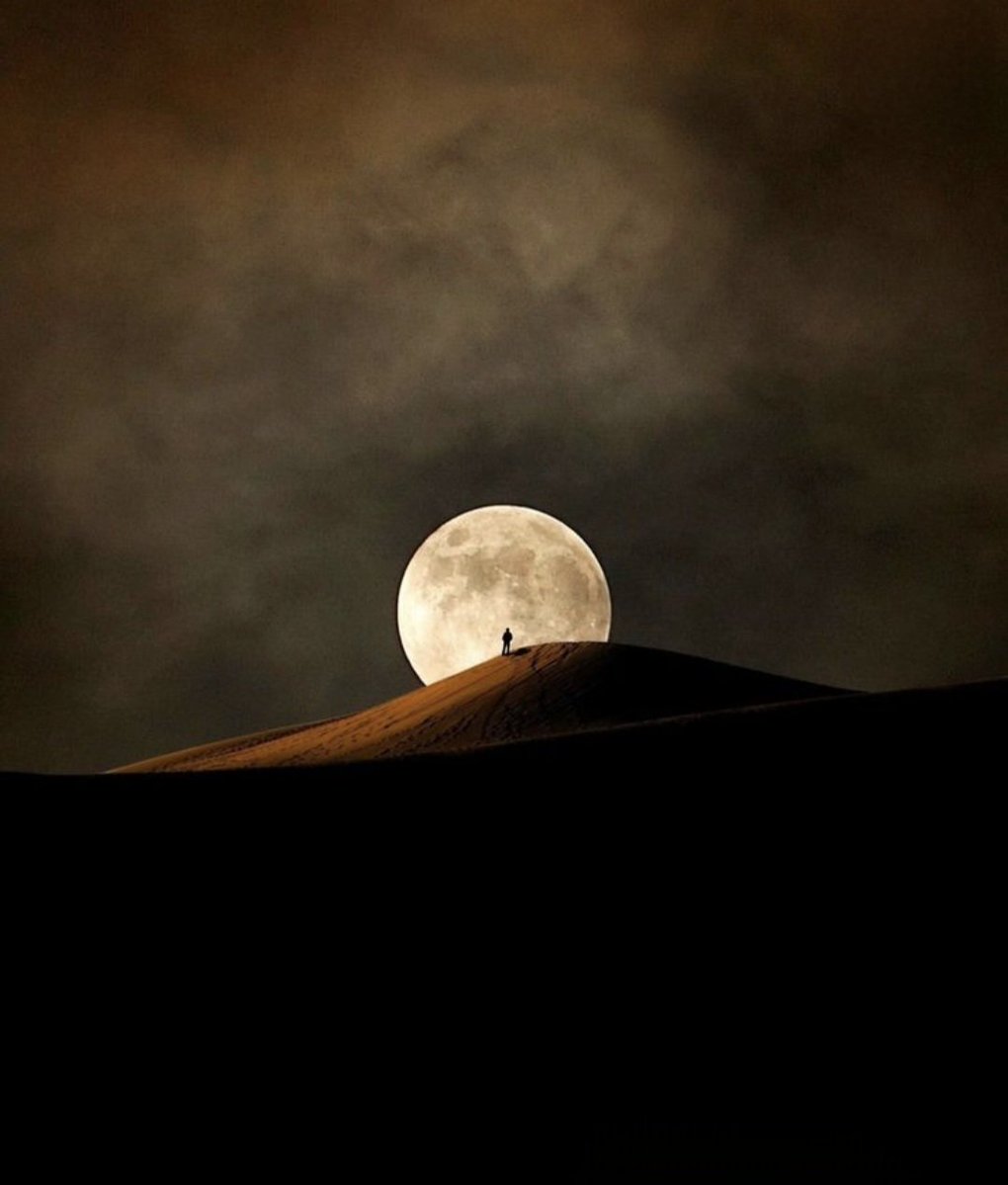 Anna Ll. tweet media