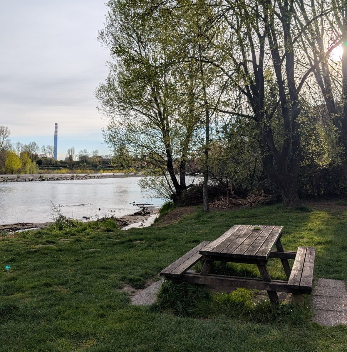 Pescegatti tweet media