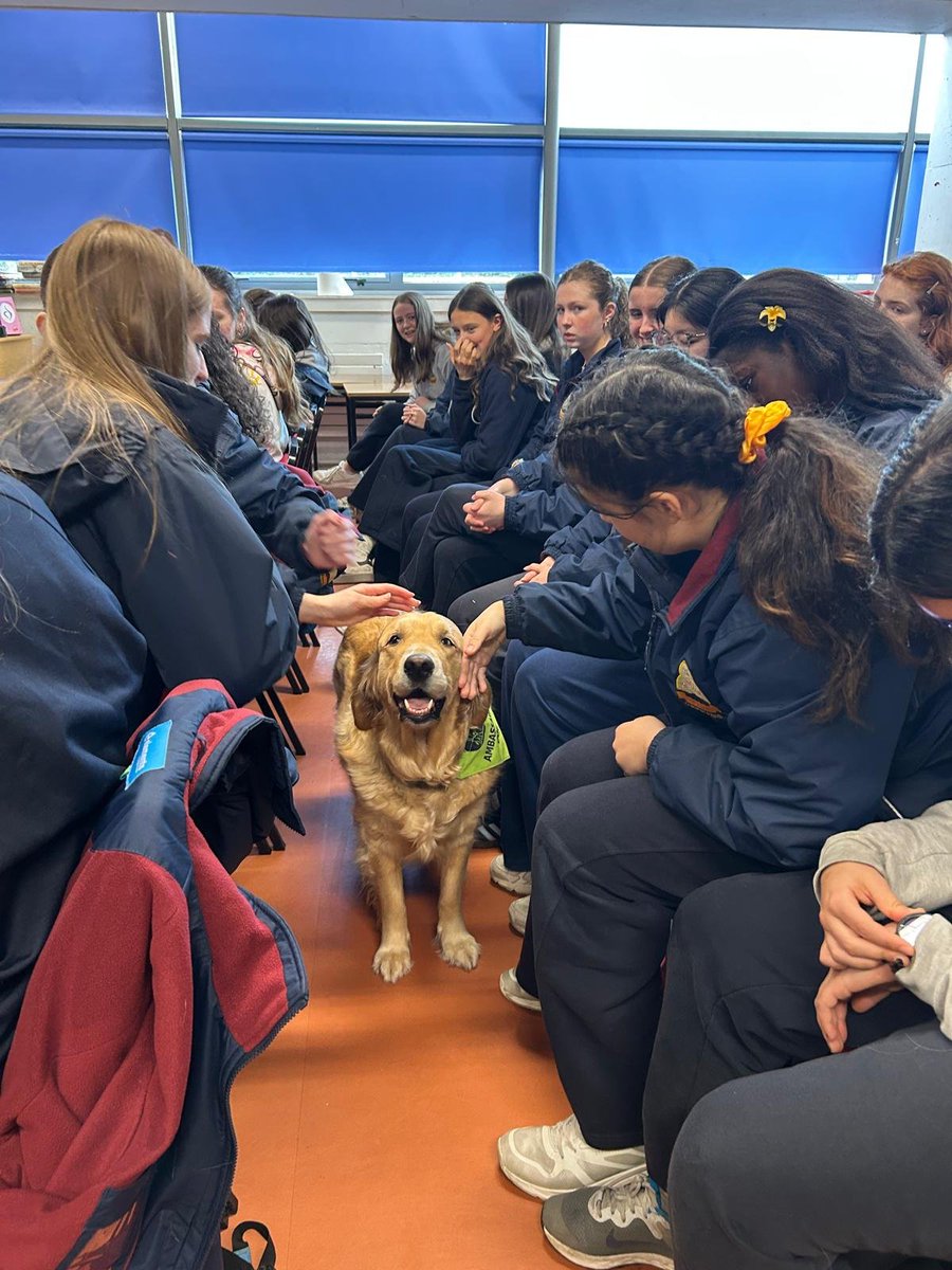 St Wolstan's Community School tweet media