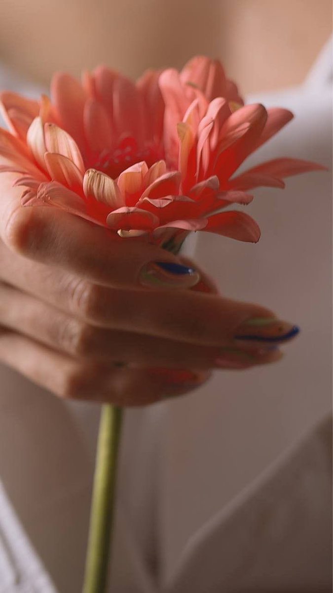 ᥫ᭡ شمـــس tweet media