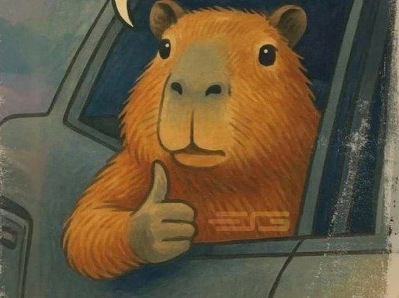 𝐓𝐖𝐄𝐍𝐓𝐘 𝐎𝐍𝐄 𝕱𝕷Ú𝕺𝕽 ⚡₿₿₿⚡ tweet media