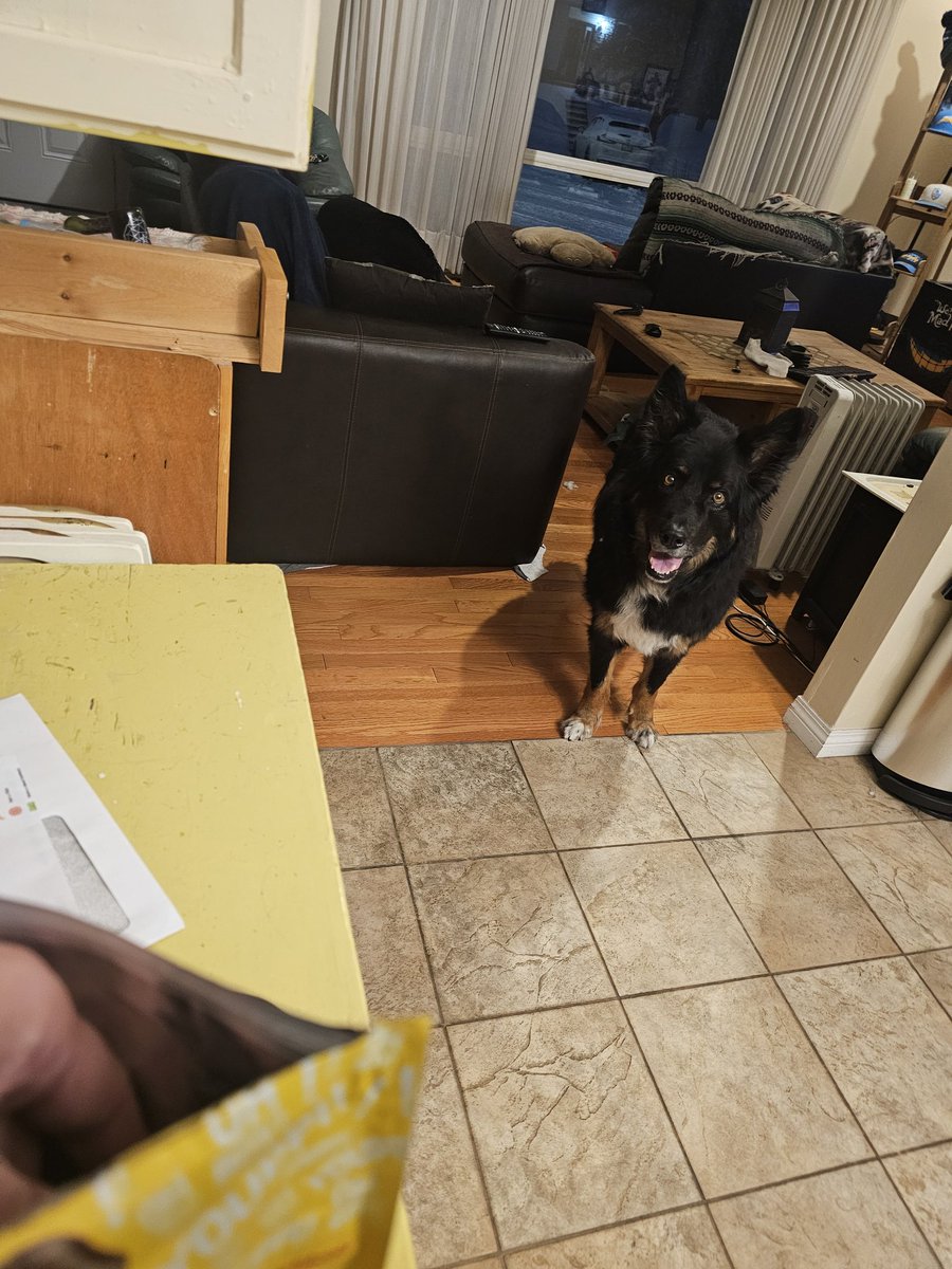 Fouts & Furious tweet media