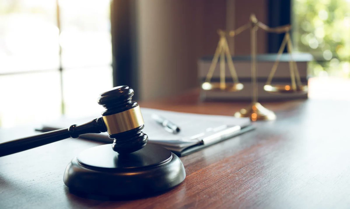 AVN Media Network tweet media