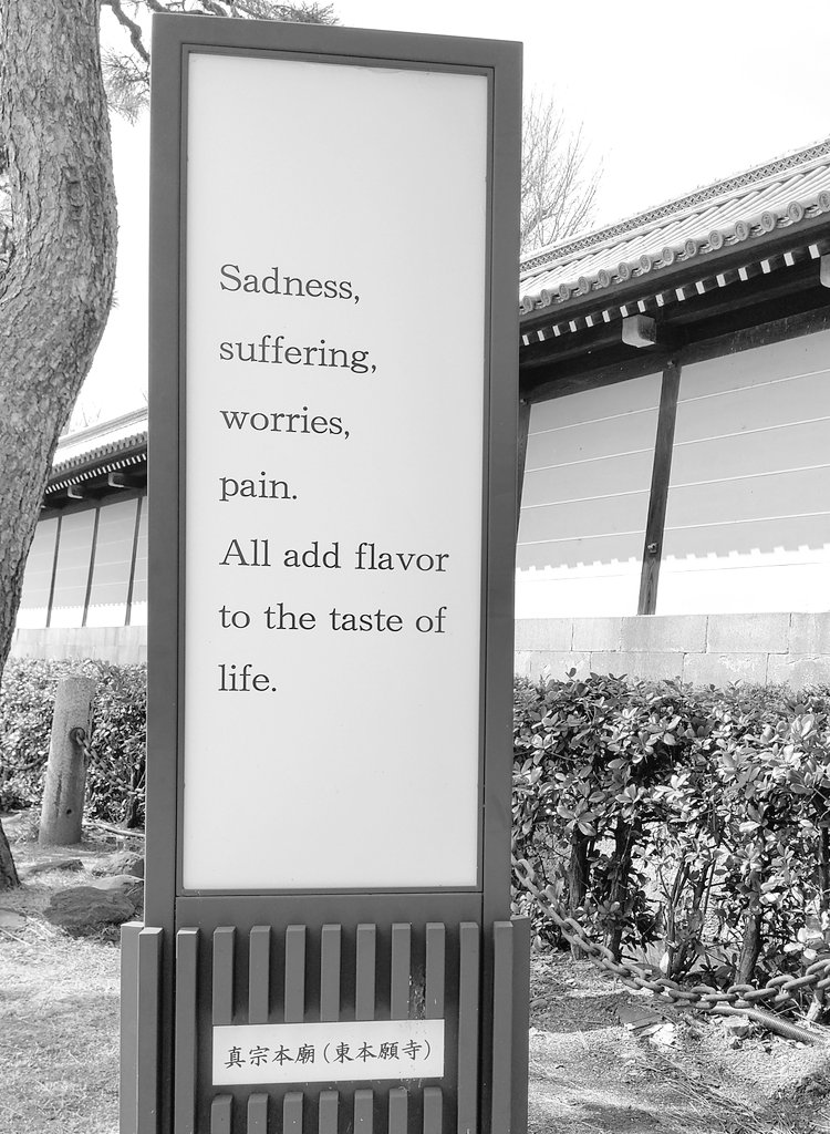 HandBananuhh ✝️🇺🇸 tweet media