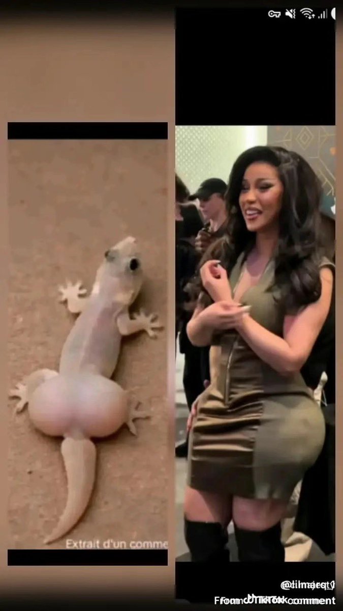 || Nicki The Ninja 🥷🏾🩷 || tweet media