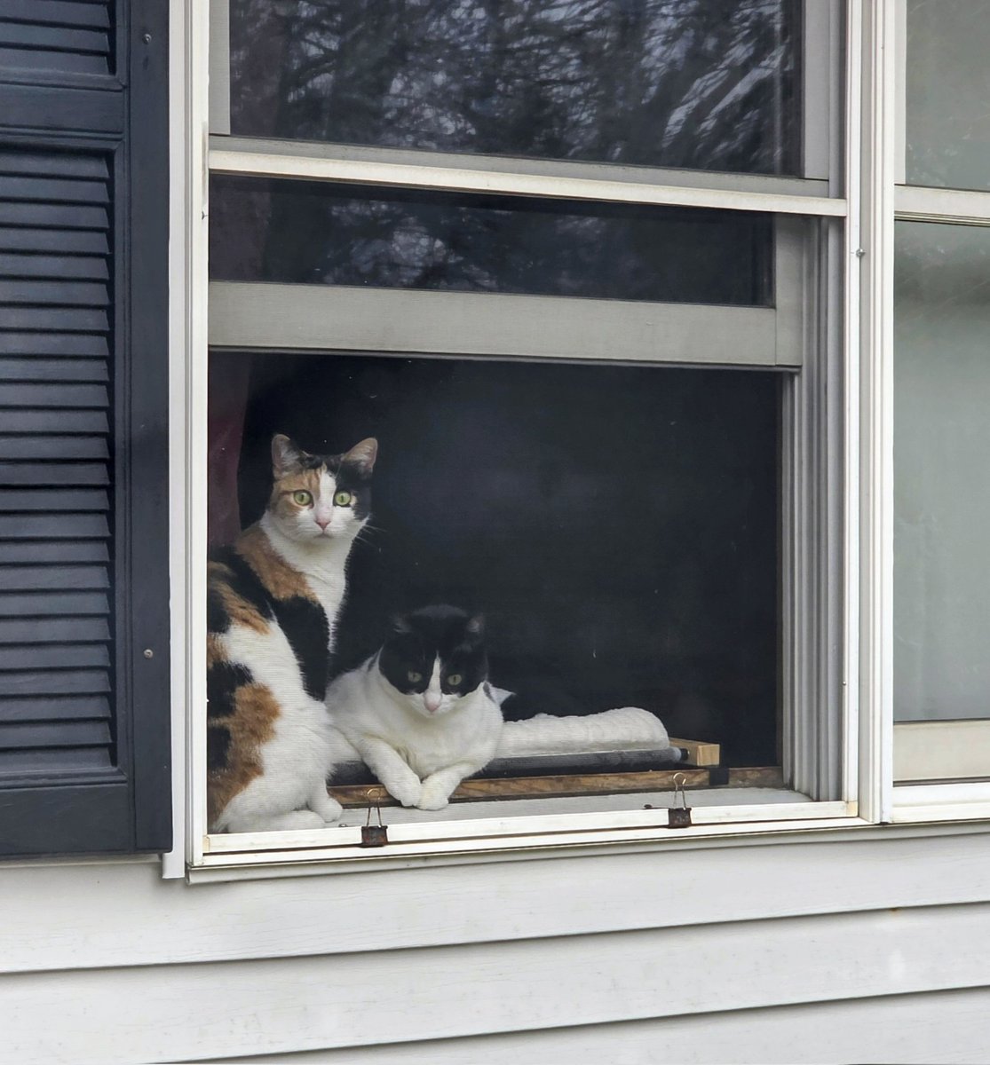 RESIST!! tweet media