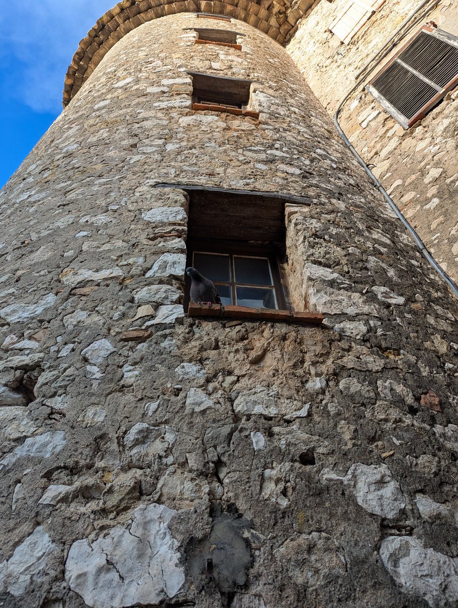 Joshua Fortier tweet media