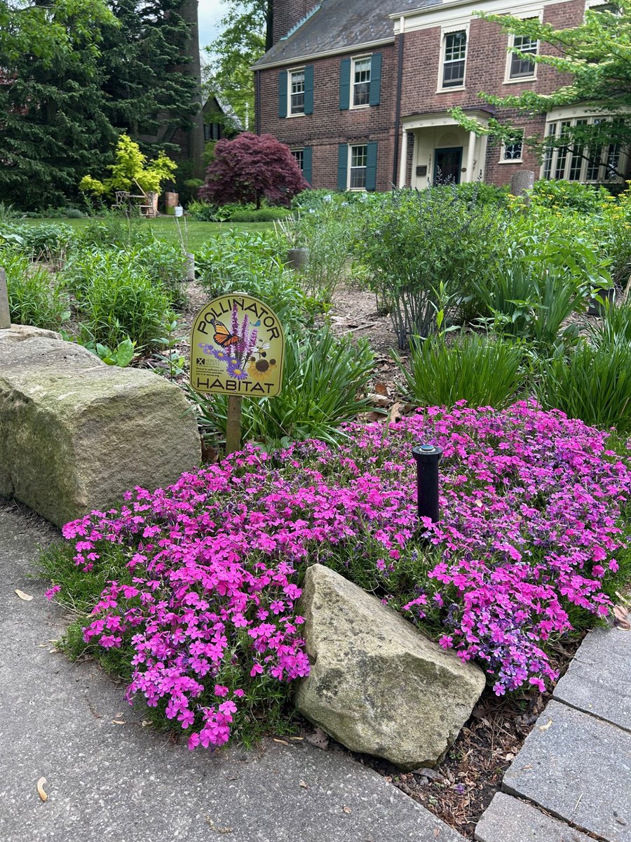 ShakerLakes tweet media