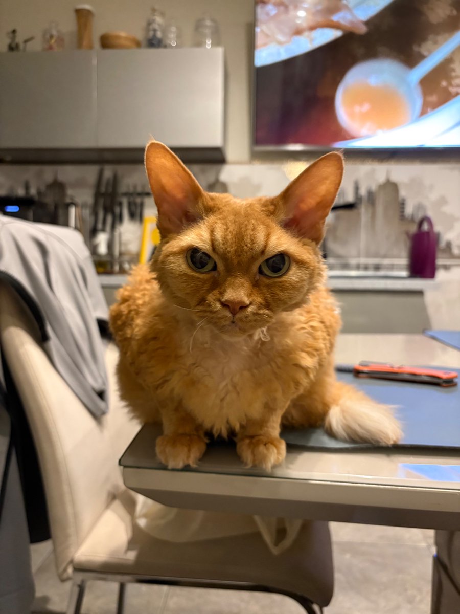 Serhii Kalinets fella 🇺🇦 tweet media