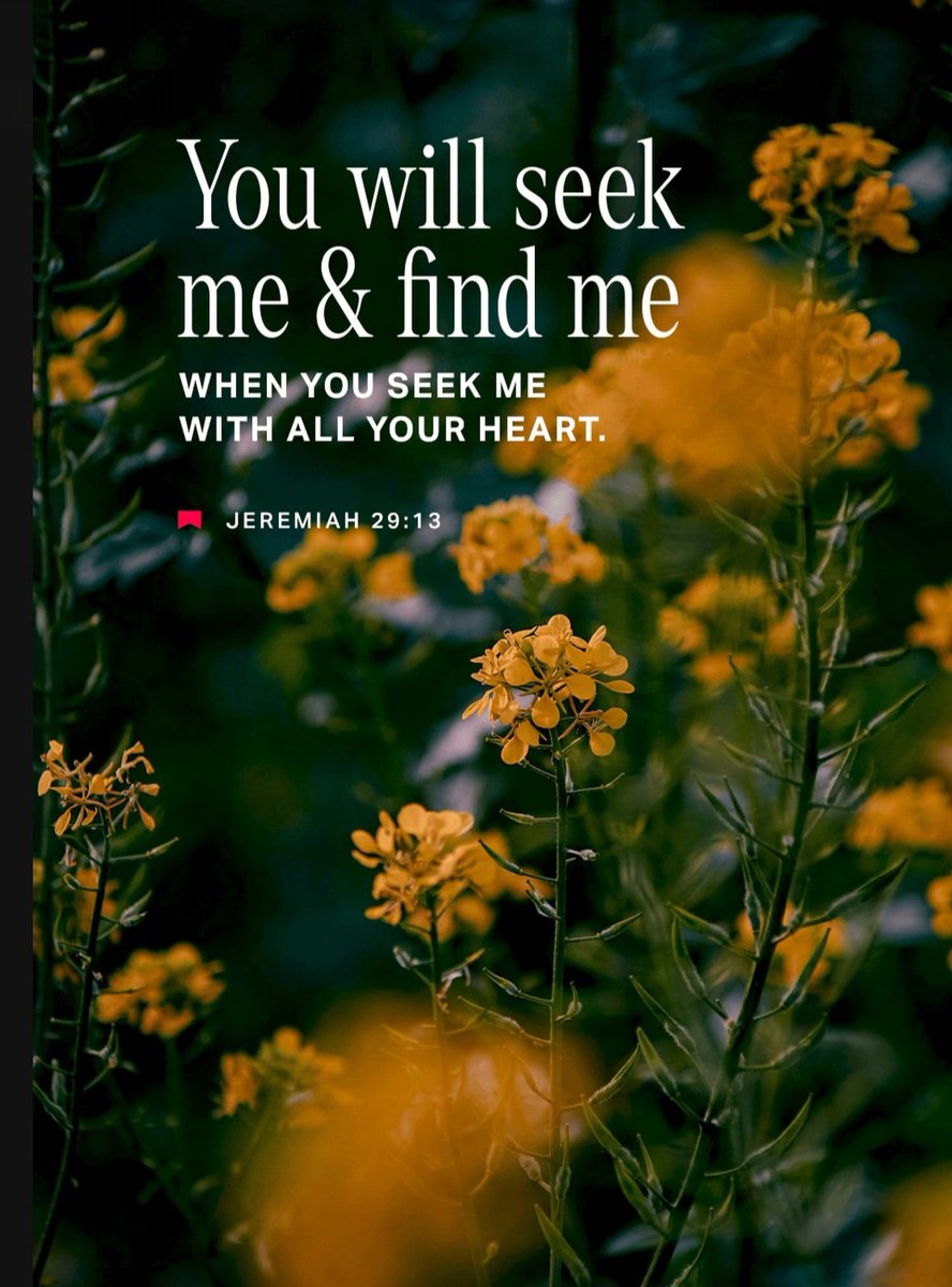 Be Soul Pretty tweet media