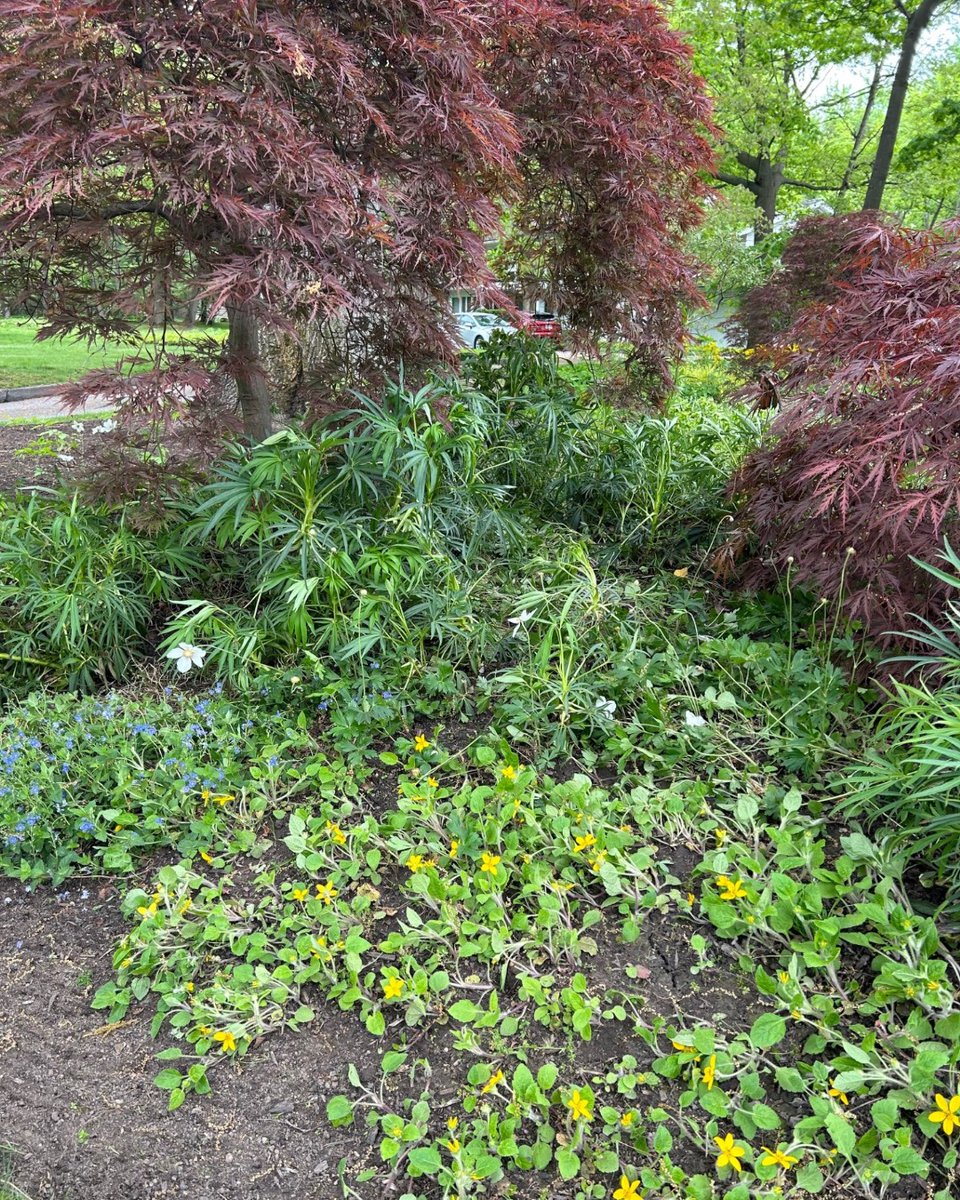 ShakerLakes tweet media