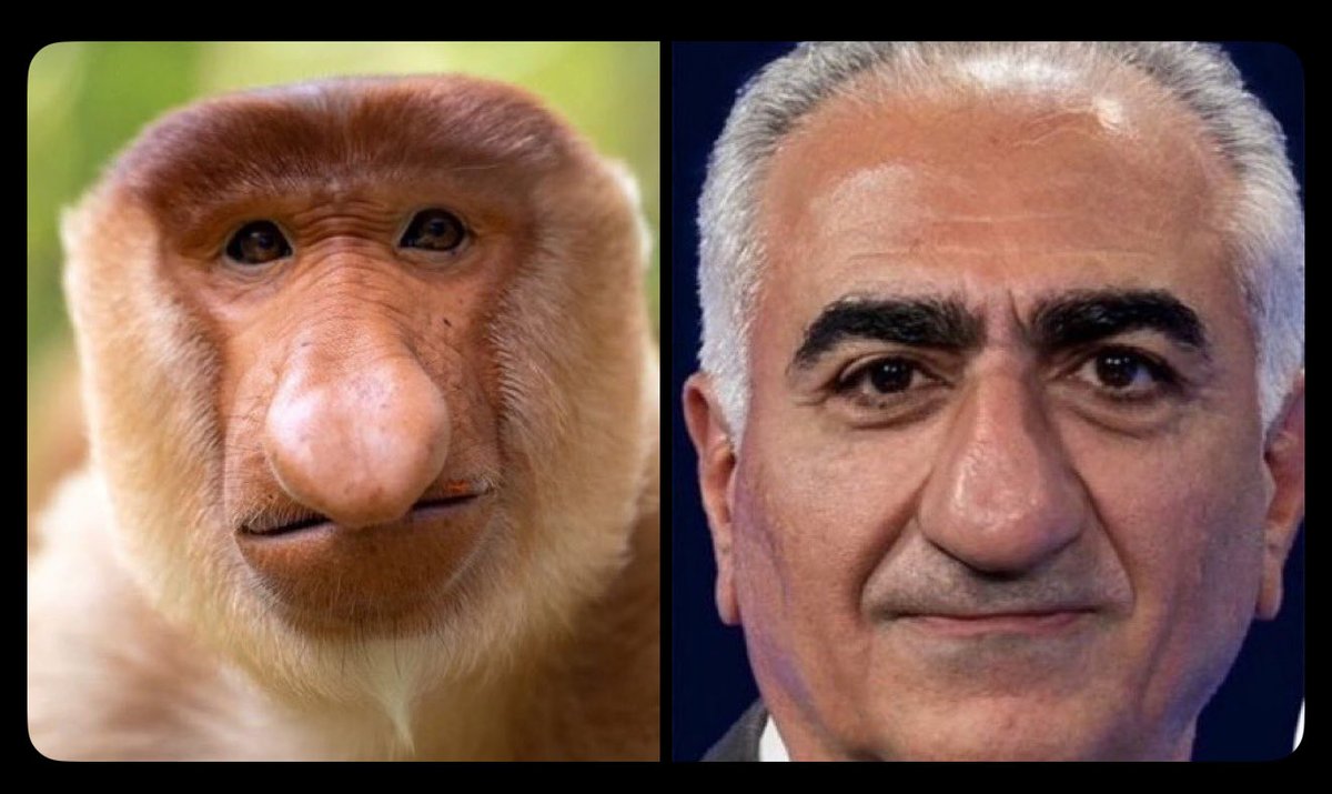 Fight for justice tweet media