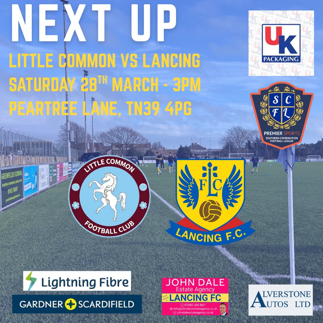 Lancing FC tweet media