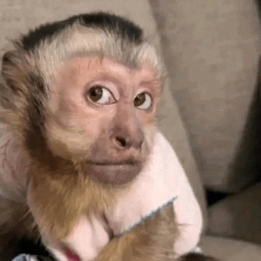 Harriet🇺🇬 tweet media