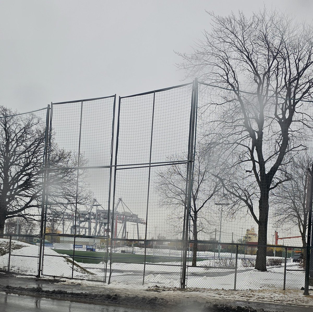 Maxime Truman tweet media