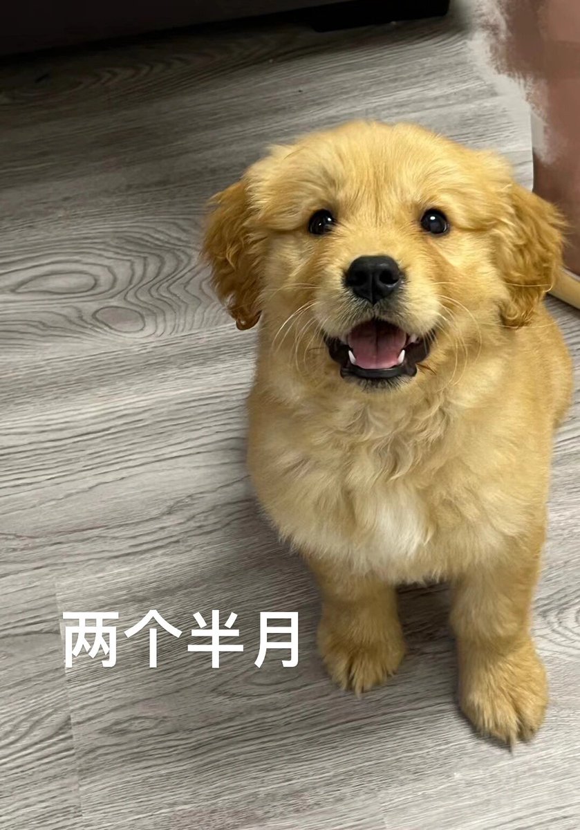 Stéphane Corta tweet media