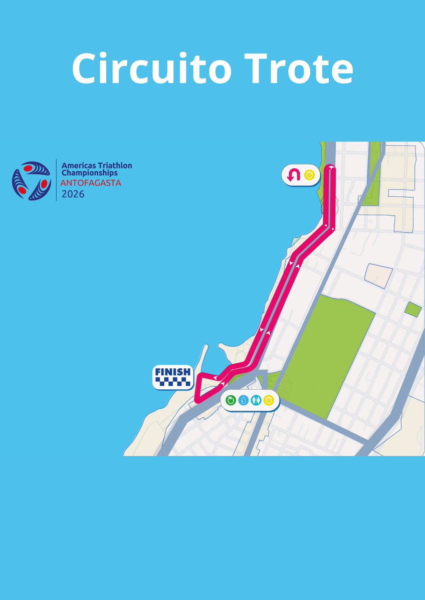 Trichile.cl tweet media