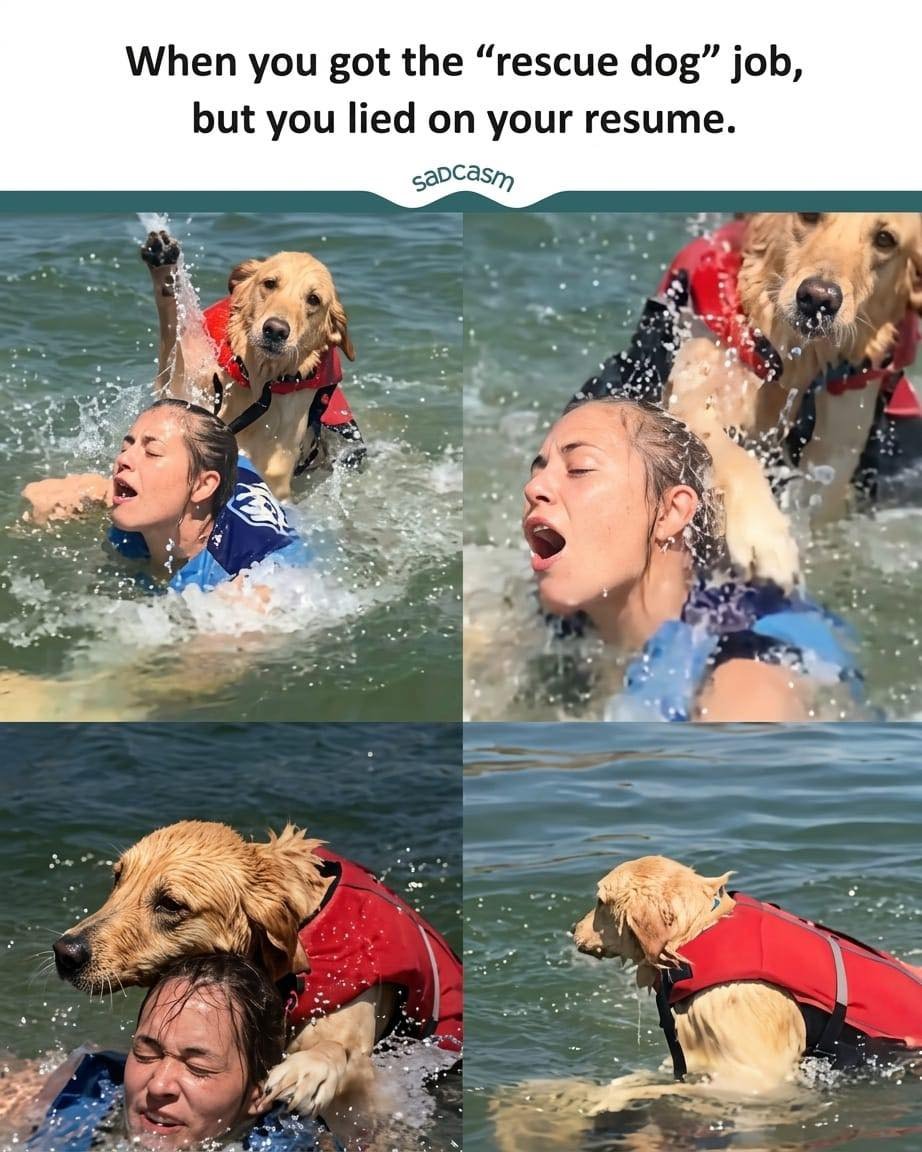 OSINTPRO tweet media