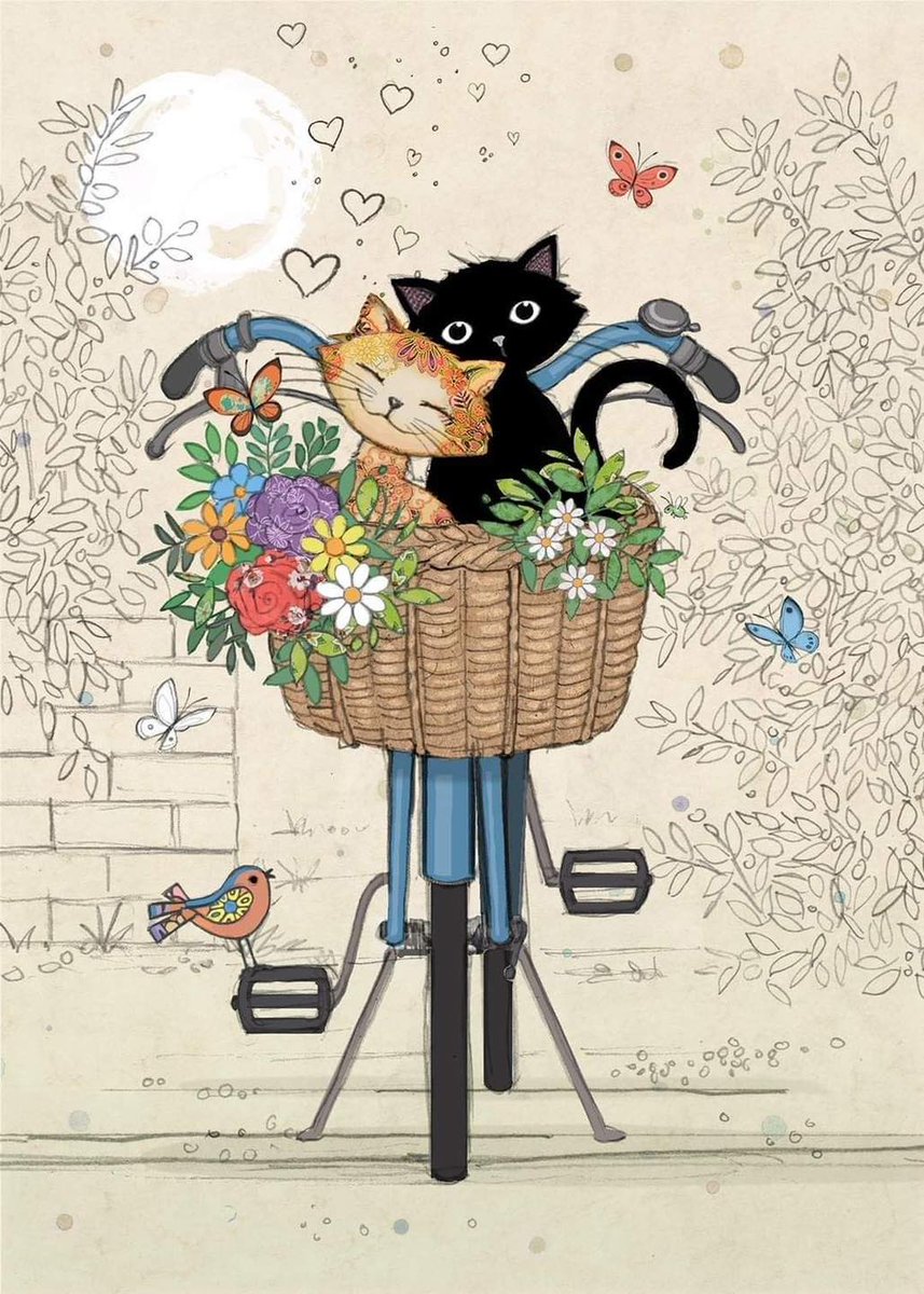 gregorio catarino tweet media