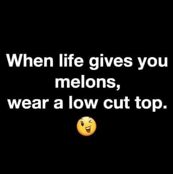 BlazySusan816's tweet photo. 😎 https://t.co/OwLAhUIDSK