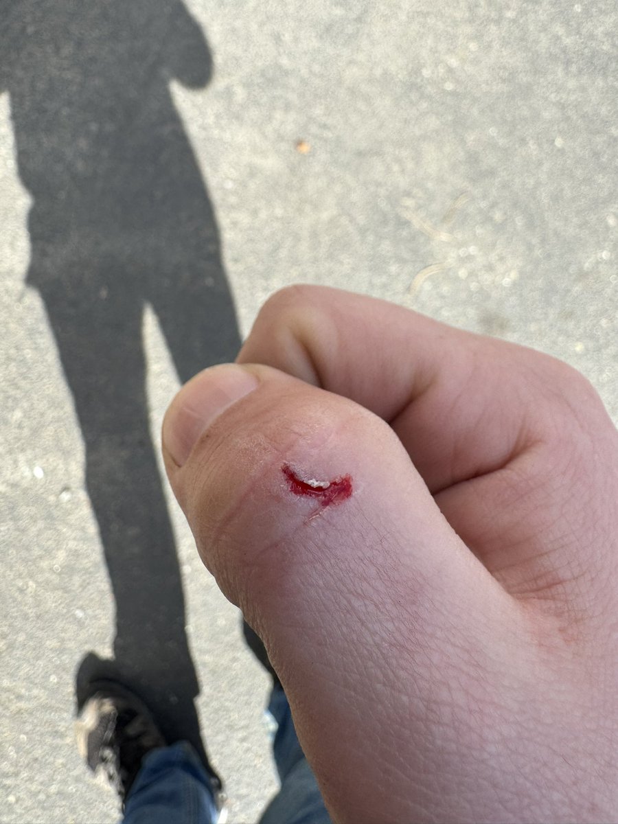 PNWGUERRILLA tweet media