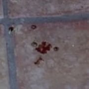 ⓒʜɪʟʟɪɴᴏɪꜱ tweet media