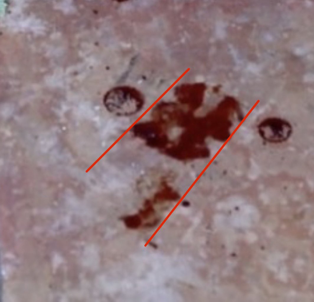 ⓒʜɪʟʟɪɴᴏɪꜱ tweet media