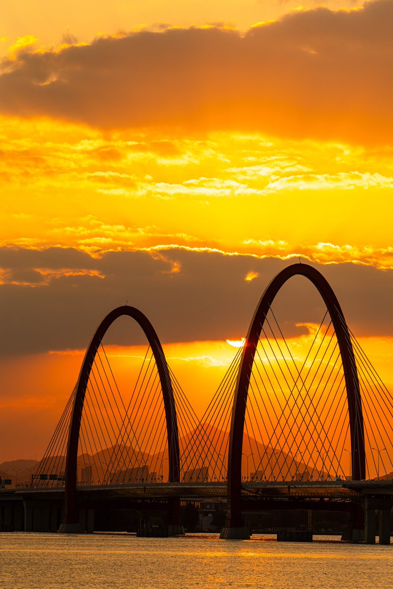 Lexie Mariolis tweet media