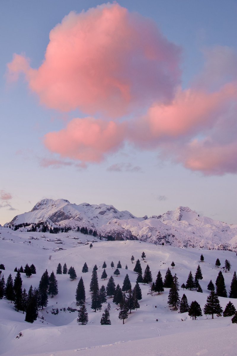 Exploring Slovenia tweet media