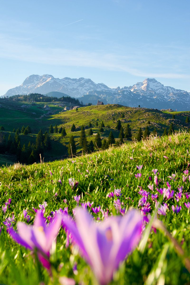 Exploring Slovenia tweet media