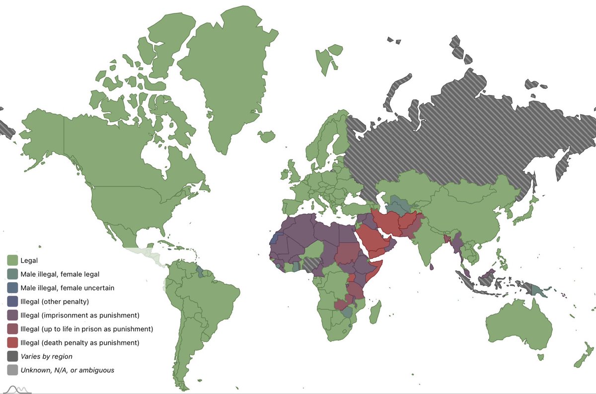 Black and White Cat Foot Bear. tweet media