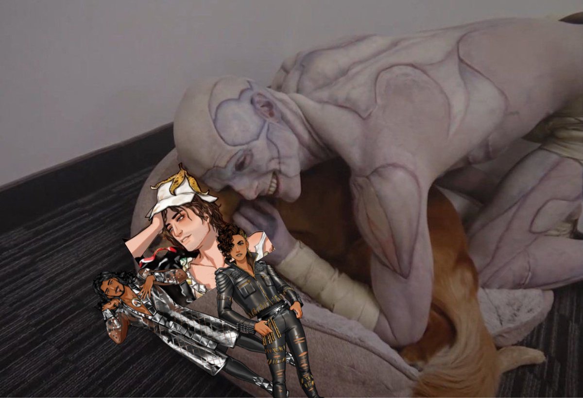 Date Everything! tweet media