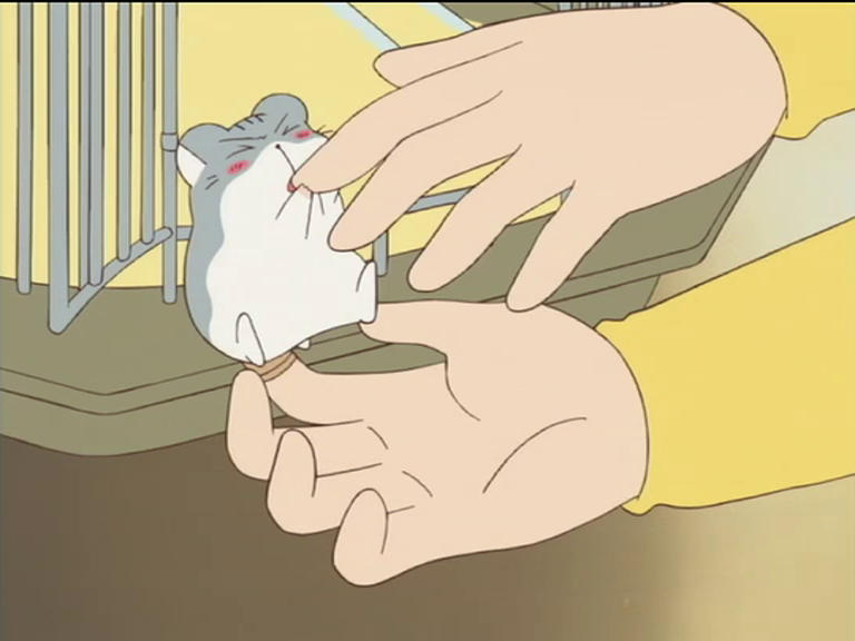 Hamtaro・ハム太郎 tweet media