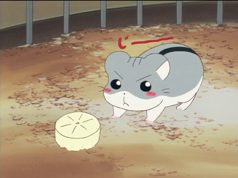 Hamtaro・ハム太郎 tweet media