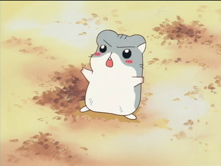 Hamtaro・ハム太郎 tweet media