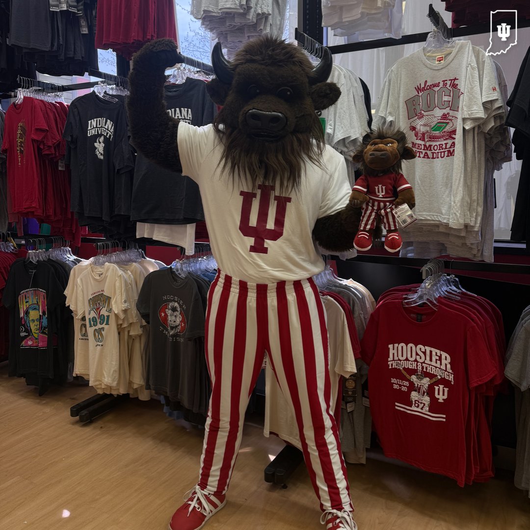 Hoosier the Bison tweet media