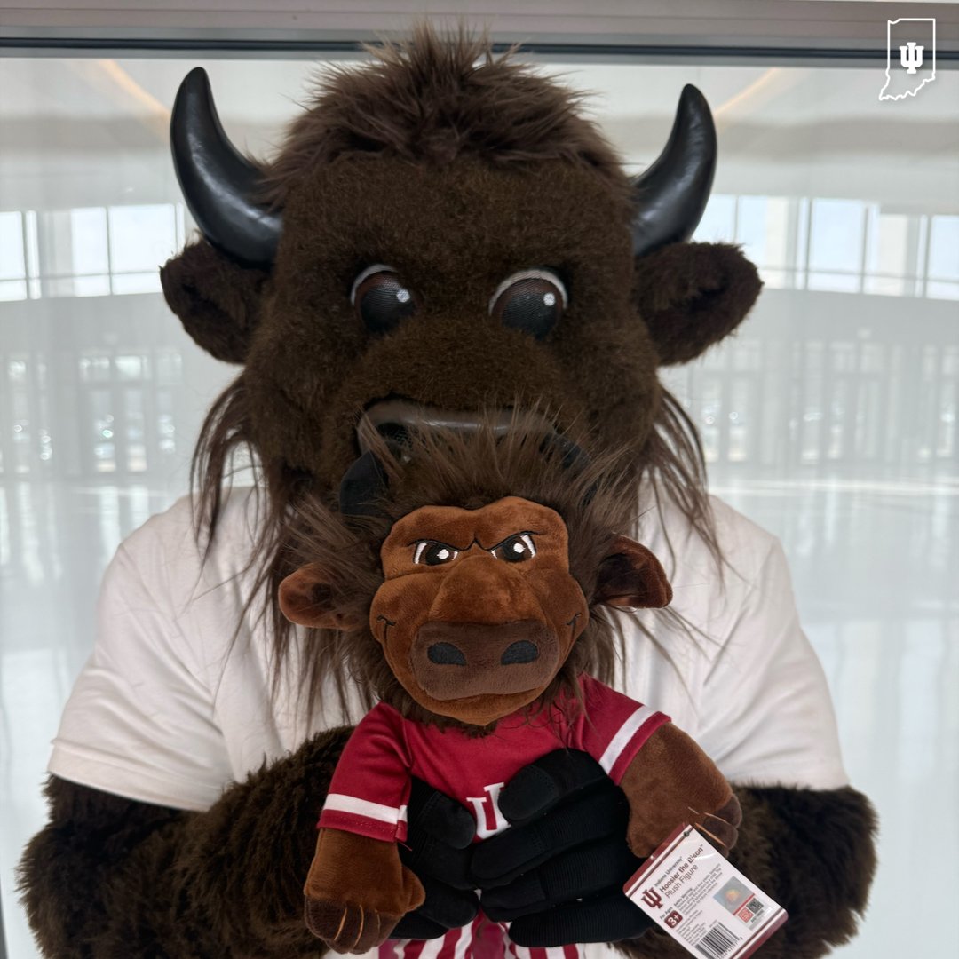 Hoosier the Bison tweet media