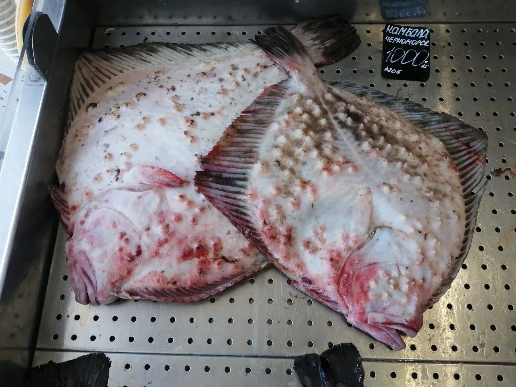 Работаю под прикрытием tweet media